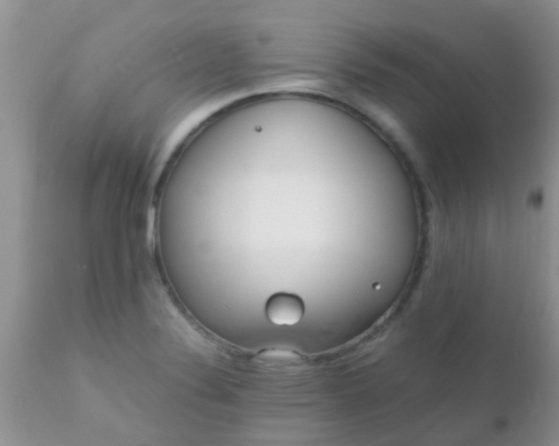 X0000110951324200907022147