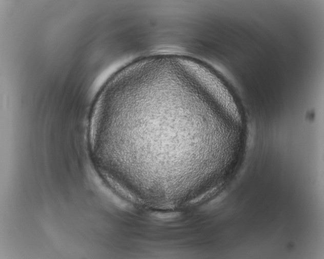 X0000110951325200907022147