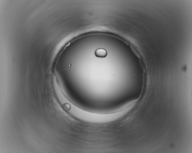 X0000110951326200907022147