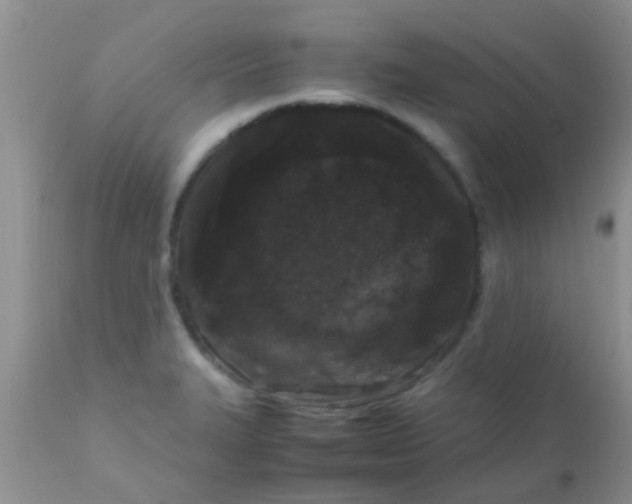 X0000110951327200907022147