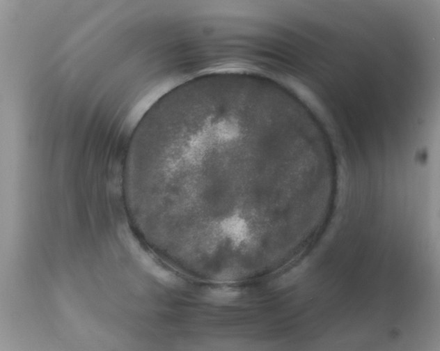 X0000110951329200907022147