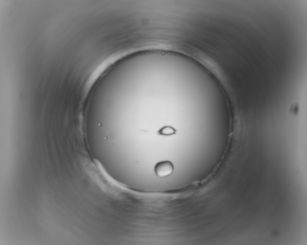 X0000110951332200907022147