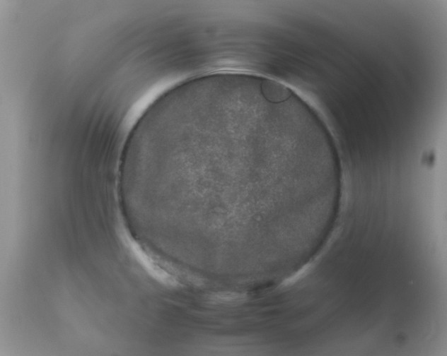 X0000110951333200907022147