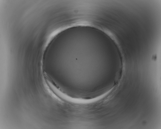 X0000110951334200907022147