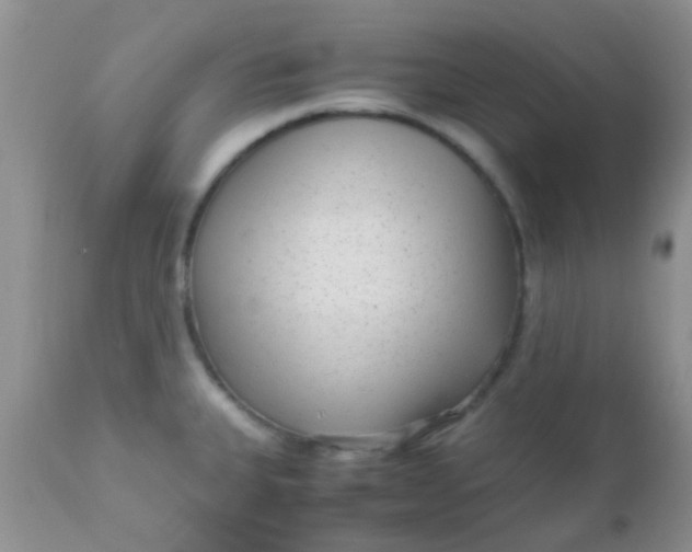 X0000110951335200907022147