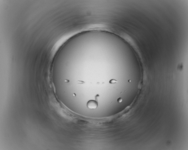 X0000110951336200907022147