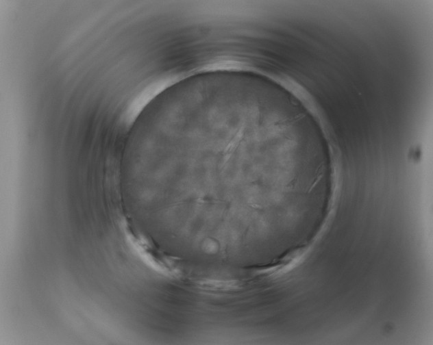 X0000110951337200907022147