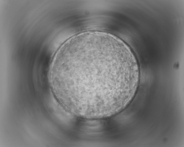 X0000110951338200907022147