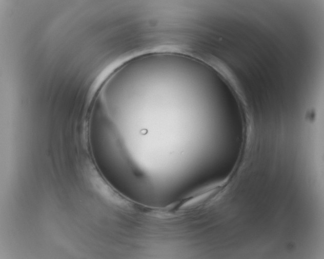 X0000110951340200907022147