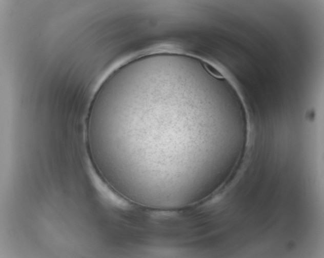 X0000110951341200907022147