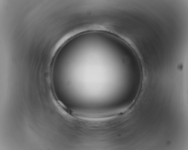 X0000110951342200907022147