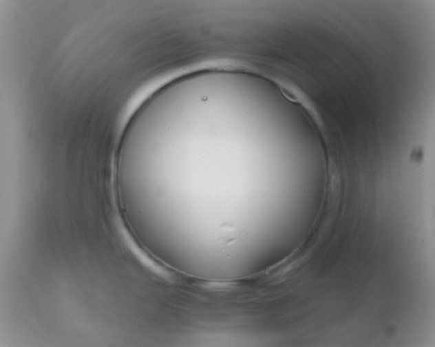 X0000110951343200907022147