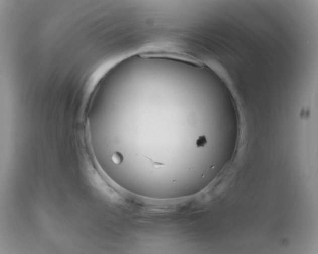 X0000110951344200907022147