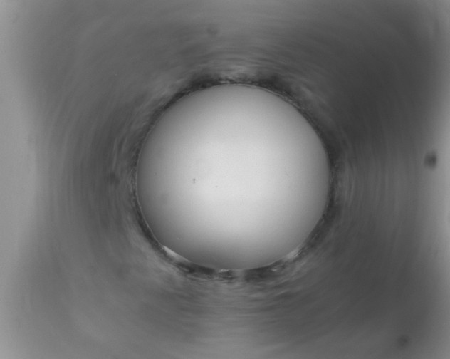 X0000110951345200907022147