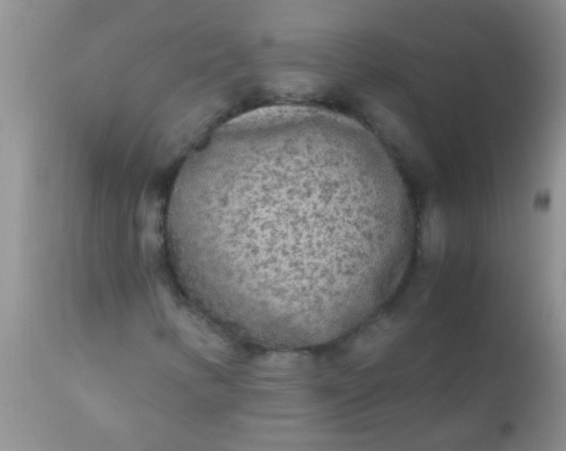 X0000110951346200907022147