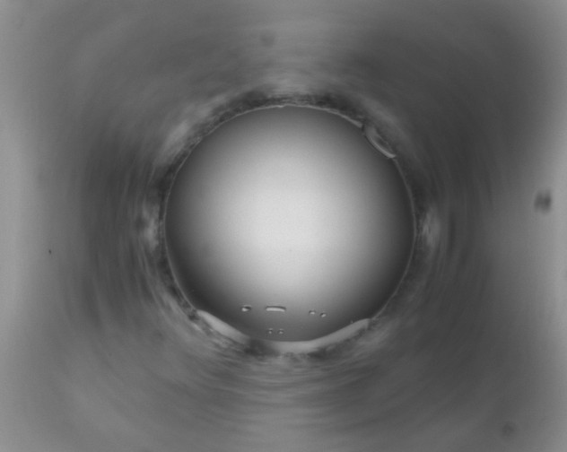 X0000110951348200907022147