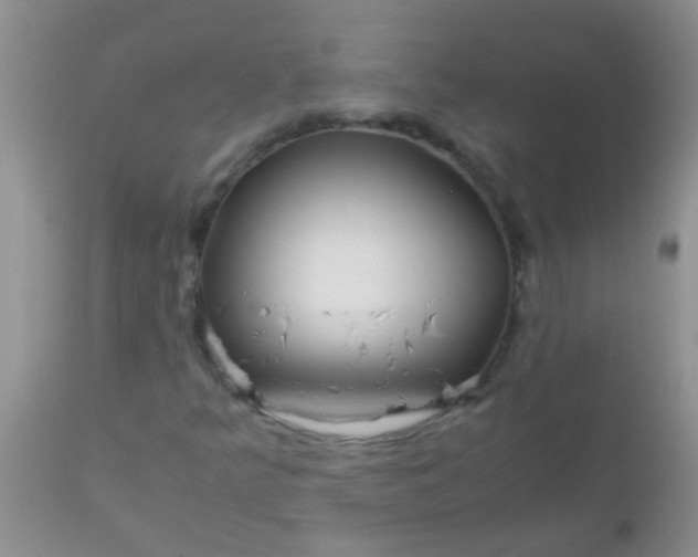 X0000110951349200907022147