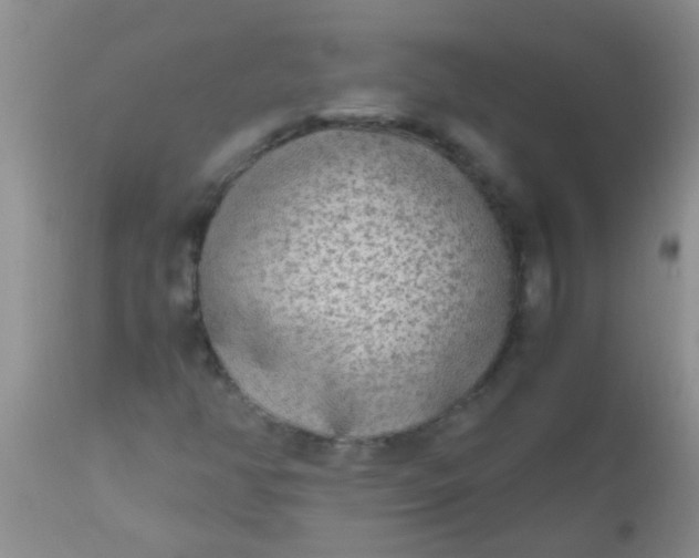 X0000110951350200907022147