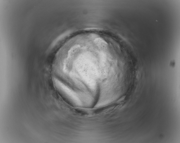 X0000110951351200907022147