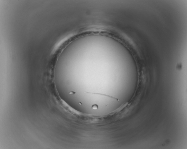 X0000110951352200907022147