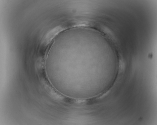 X0000110951353200907022147