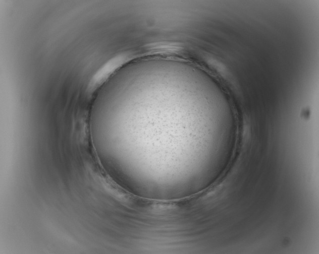 X0000110951354200907022147