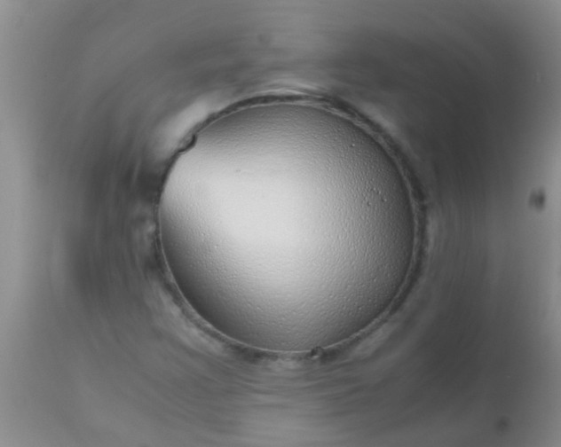 X0000110951355200907022147