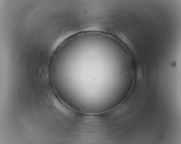 X0000110951356200907022147