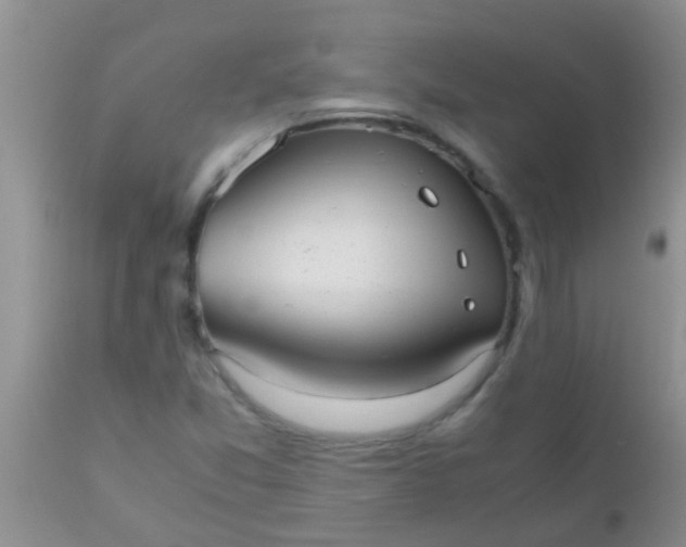 X0000110951357200907022147