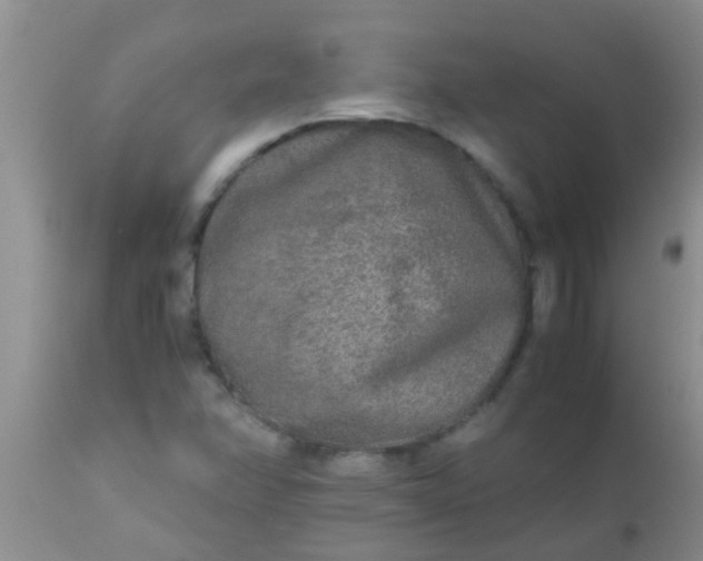 X0000110951358200907022147