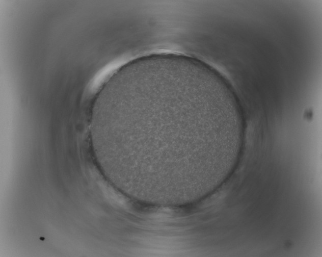 X0000110951359200907022147