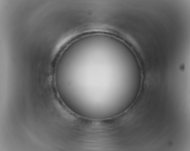 X0000110951360200907022147