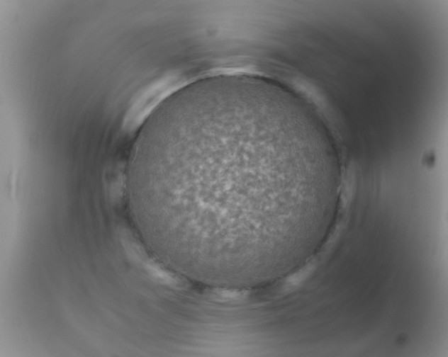 X0000110951361200907022146