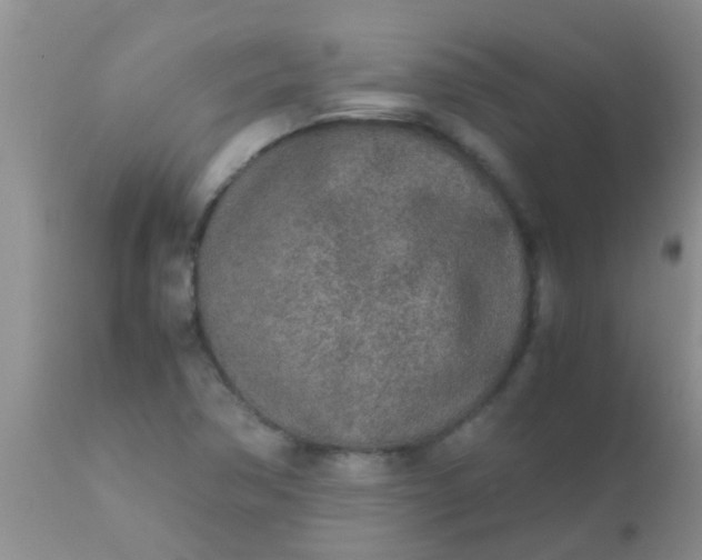 X0000110951362200907022146