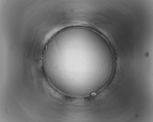 X0000110951363200907022146