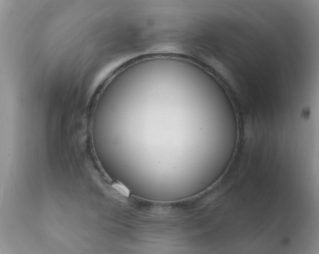 X0000110951364200907022146