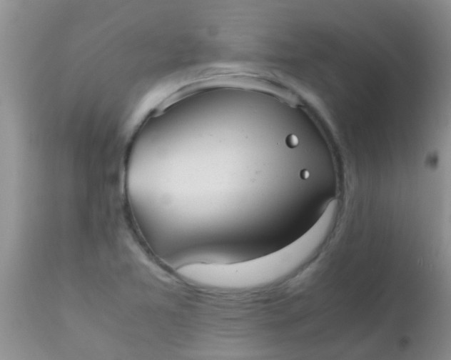 X0000110951365200907022146