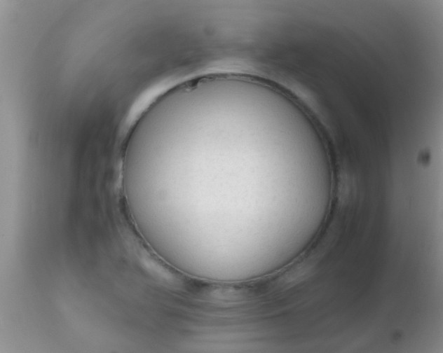 X0000110951366200907022146