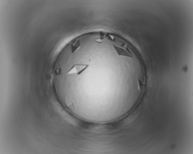 X0000110951367200907022146