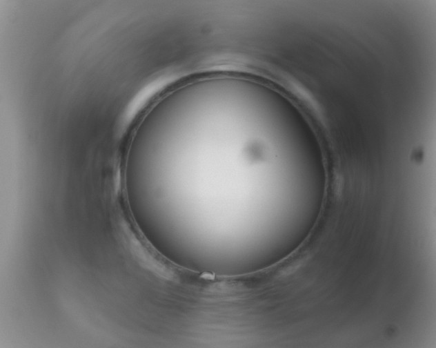 X0000110951368200907022146