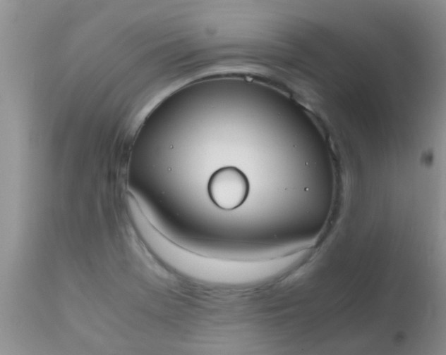 X0000110951369200907022146