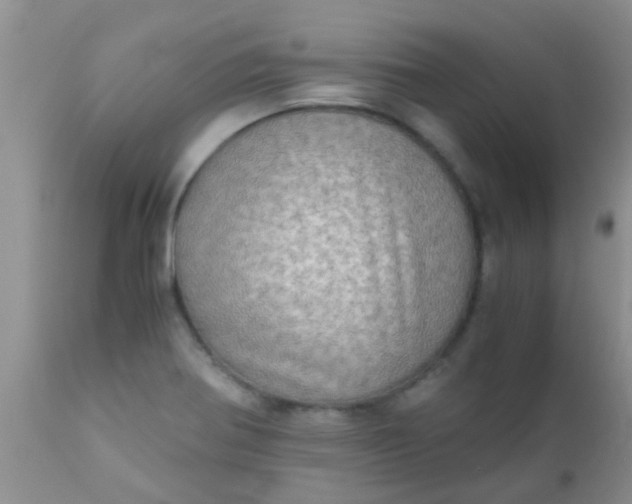 X0000110951370200907022146