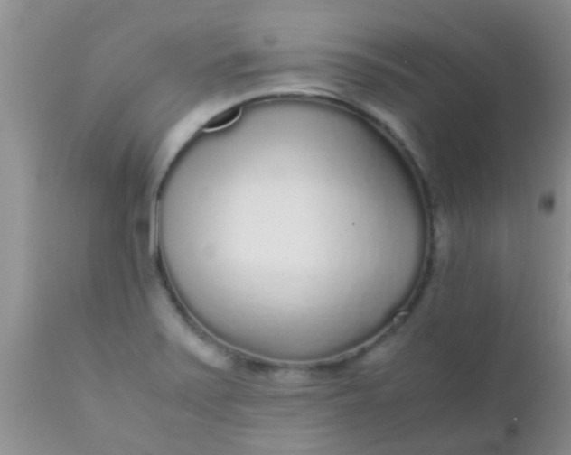 X0000110951371200907022146