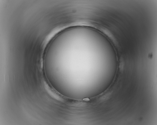 X0000110951372200907022146