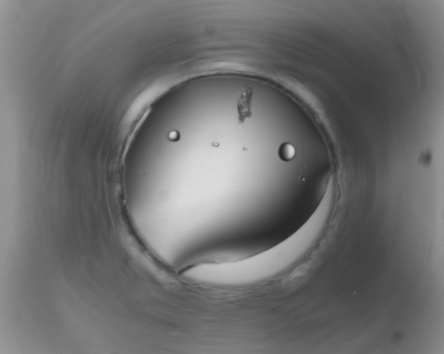 X0000110951373200907022146