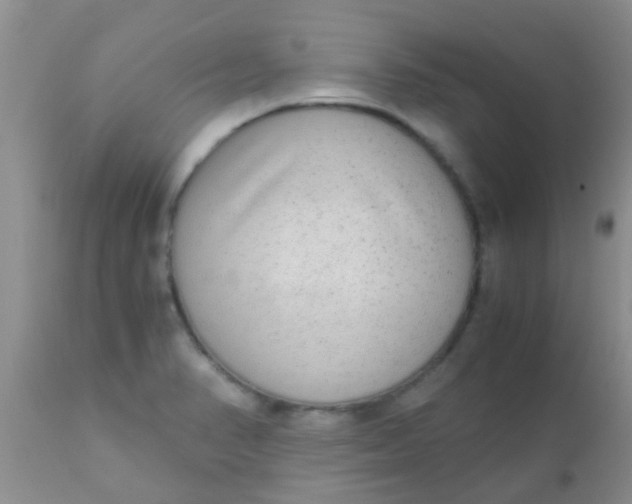 X0000110951374200907022146