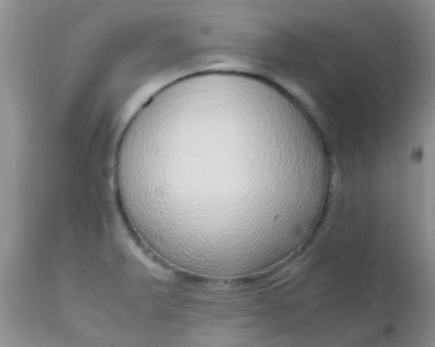 X0000110951375200907022146