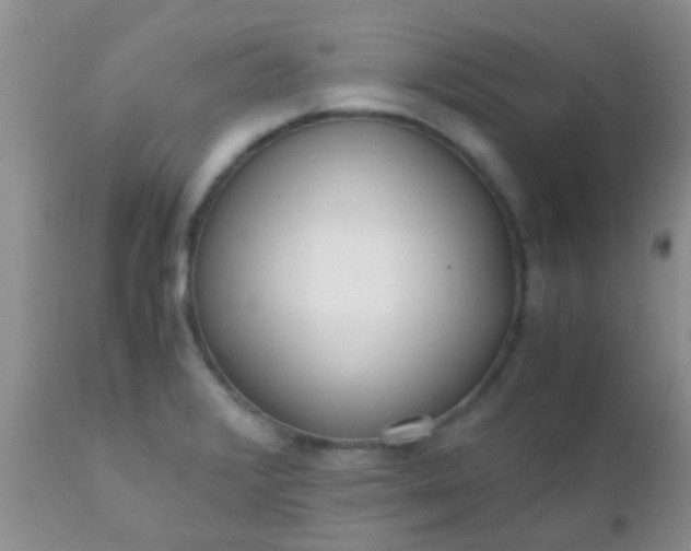 X0000110951376200907022146