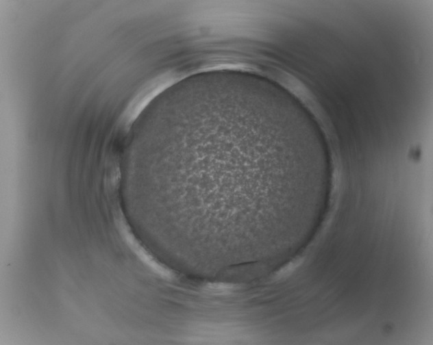 X0000110951377200907022146