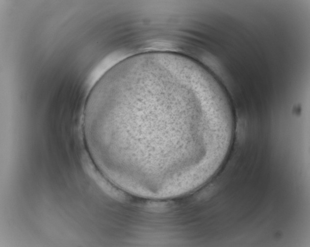 X0000110951378200907022146